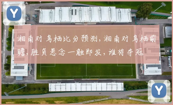 湘南对鸟栖比分预测,湘南对鸟栖前瞻,胜负悬念一触即发,谁将夺冠