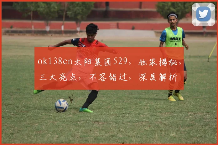 ok138cn太阳集团529，独家揭秘，三大亮点，不容错过，深度解析