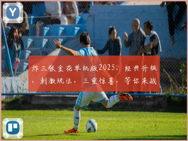 炸三张金花单机版2025，经典升级，刺激玩法，三重惊喜，等你来战，畅享游戏乐趣